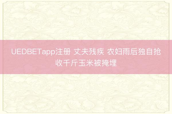 UEDBETapp注册 丈夫残疾 农妇雨后独自抢收千斤玉米被掩埋