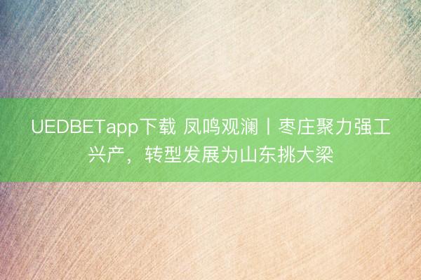 UEDBETapp下载 凤鸣观澜丨枣庄聚力强工兴产，转型发展为山东挑大梁