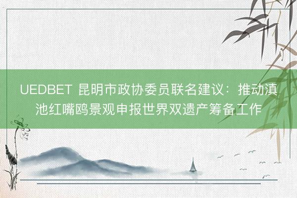 UEDBET 昆明市政协委员联名建议：推动滇池红嘴鸥景观申报世界双遗产筹备工作