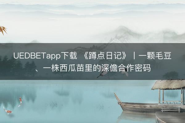 UEDBETapp下载 《蹲点日记》丨一颗毛豆、一株西瓜苗里的深儋合作密码