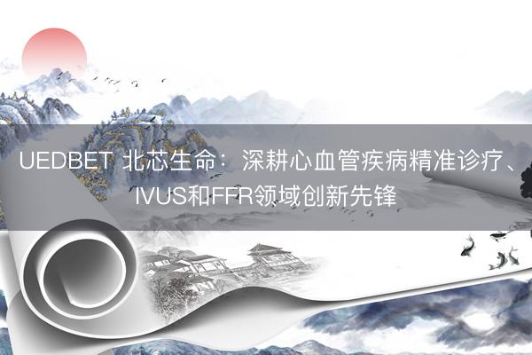 UEDBET 北芯生命：深耕心血管疾病精准诊疗、IVUS和FFR领域创新先锋