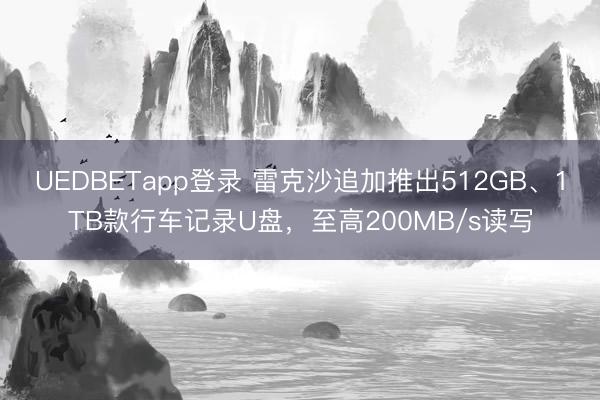 UEDBETapp登录 雷克沙追加推出512GB、1TB款行车记录U盘，至高200MB/s读写