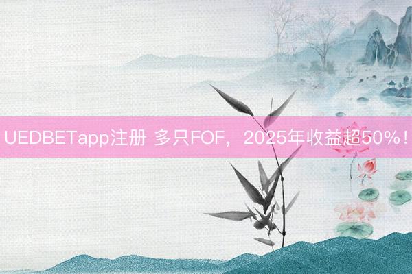 UEDBETapp注册 多只FOF,2025年收益超50%!