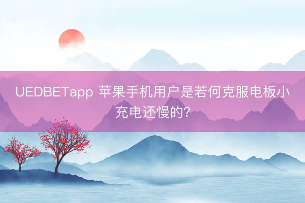 UEDBETapp 苹果手机用户是若何克服电板小充电还慢的？