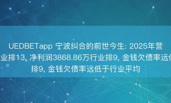 UEDBETapp 宁波纠合的前世今生: 2025年营收12.68亿行业排13， 净利润3868.86万行业排9， 金钱欠债率远低于行业平均