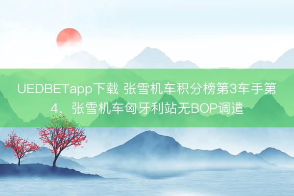 UEDBETapp下载 张雪机车积分榜第3车手第4，张雪机车匈牙利站无BOP调遣