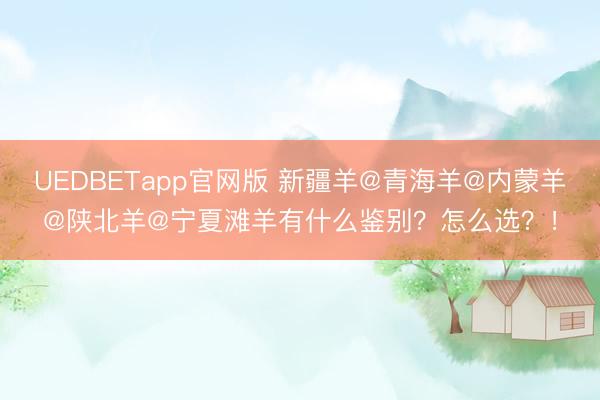 UEDBETapp官网版 新疆羊@青海羊@内蒙羊@陕北羊@宁夏滩羊有什么鉴别？怎么选？！