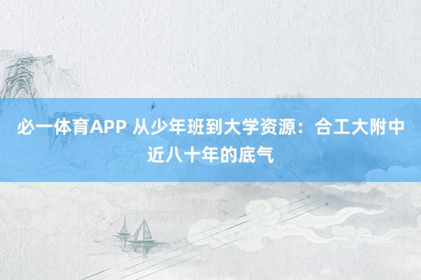 必一体育APP 从少年班到大学资源：合工大附中近八十年的底气