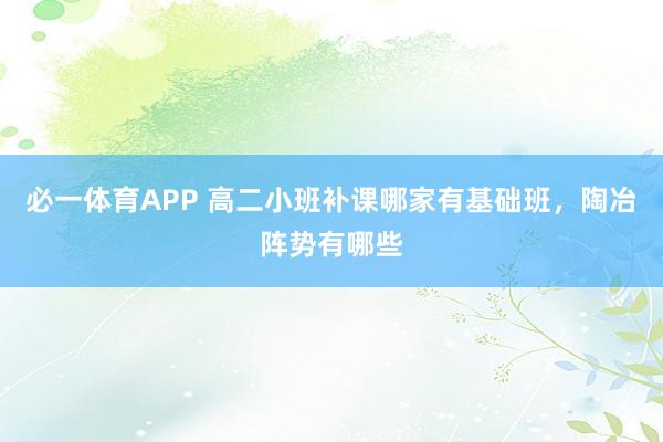 必一体育APP 高二小班补课哪家有基础班，陶冶阵势有哪些