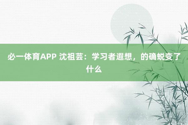 必一体育APP 沈祖芸：学习者遐想，的确蜕变了什么