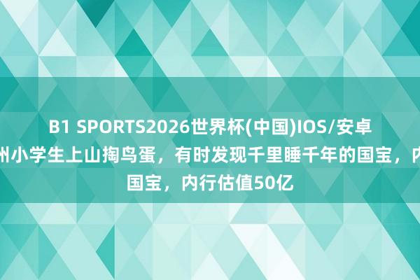 B1 SPORTS2026世界杯(中国)IOS/安卓官方下载 苏州小学生上山掏鸟蛋，有时发现千里睡千年的国宝，内行估值50亿