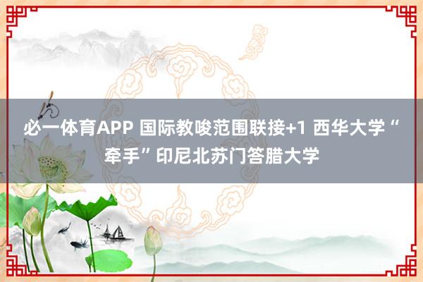 必一体育APP 国际教唆范围联接+1 西华大学“牵手”印尼北苏门答腊大学