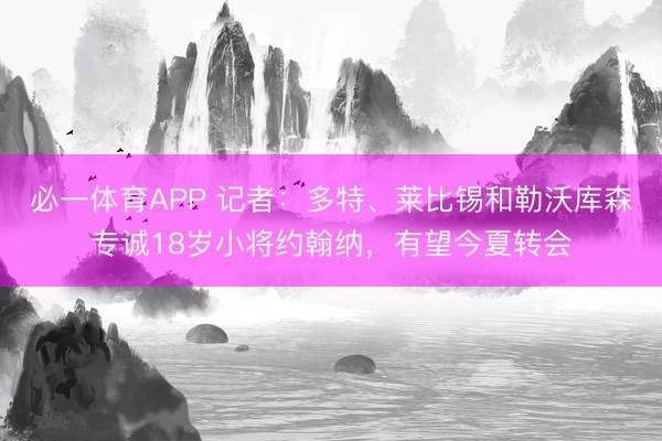 必一体育APP 记者：多特、莱比锡和勒沃库森专诚18岁小将约翰纳，有望今夏转会