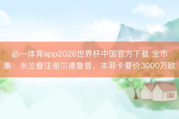 必一体育app2026世界杯中国官方下载 全市集：米兰眷注谢尔德鲁普，本菲卡要价3000万欧