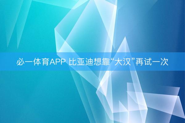 必一体育APP 比亚迪想靠“大汉”再试一次