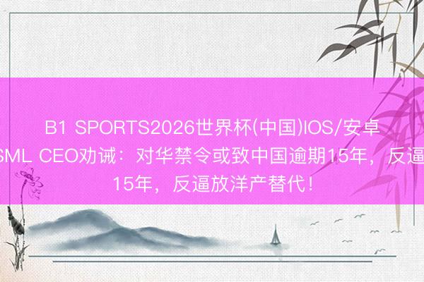 B1 SPORTS2026世界杯(中国)IOS/安卓官方下载 ASML CEO劝诫：对华禁令或致中国逾期15年，反逼放洋产替代！
