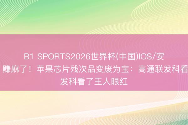 B1 SPORTS2026世界杯(中国)IOS/安卓官方下载 赚麻了!苹果芯片残次品变废为宝:高通联发科看了王人眼红