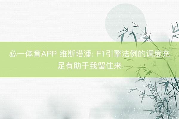 必一体育APP 维斯塔潘: F1引擎法例的调度充足有助于我留住来