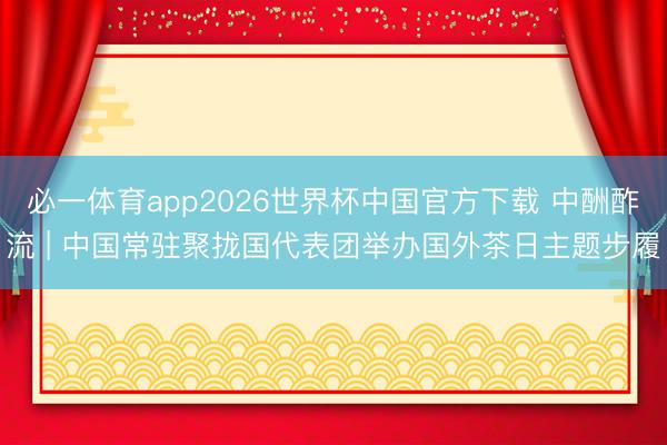 必一体育app2026世界杯中国官方下载 中酬酢流 | 中国常驻聚拢国代表团举办国外茶日主题步履