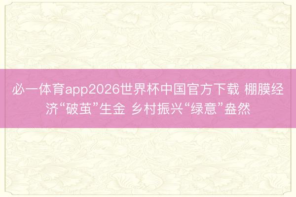 必一体育app2026世界杯中国官方下载 棚膜经济“破茧”生金 乡村振兴“绿意”盎然