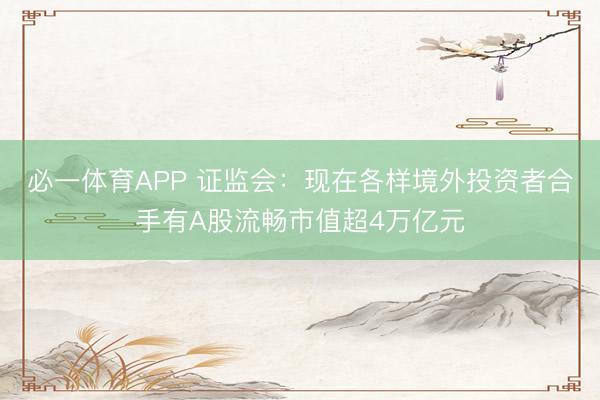 必一体育APP 证监会：现在各样境外投资者合手有A股流畅市值超4万亿元