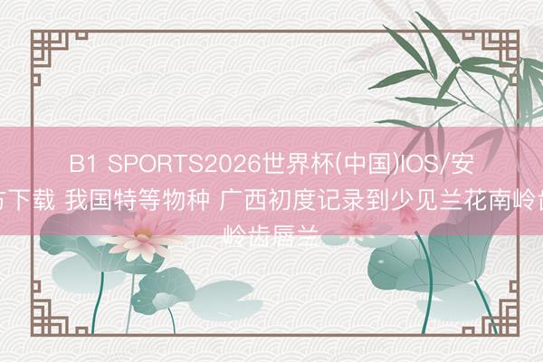 B1 SPORTS2026世界杯(中国)IOS/安卓官方下载 我国特等物种 广西初度记录到少见兰花南岭齿唇兰
