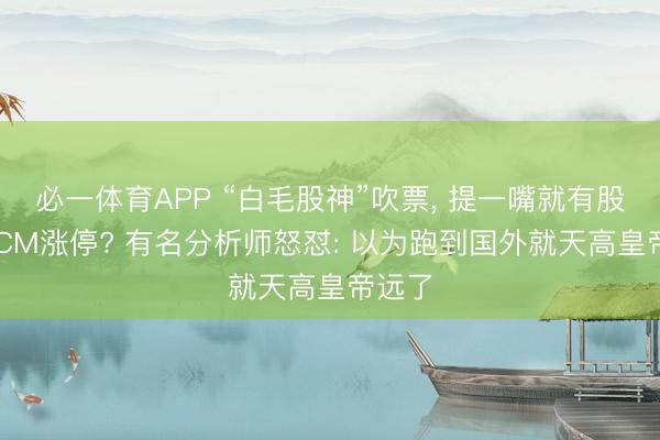 必一体育APP “白毛股神”吹票, 提一嘴就有股票20CM涨停? 有名分析师怒怼: 以为跑到国外就天高皇帝远了