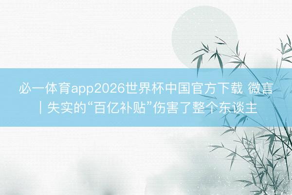 必一体育app2026世界杯中国官方下载 微言｜失实的“百亿补贴”伤害了整个东谈主