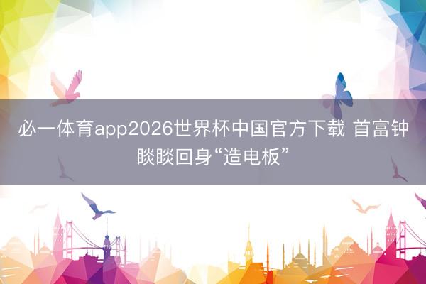 必一体育app2026世界杯中国官方下载 首富钟睒睒回身“造电板”